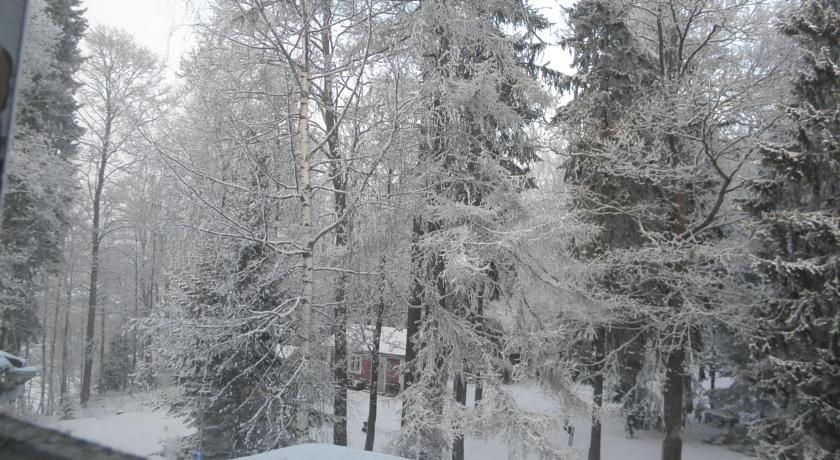 Bed and Breakfast Neitsytniemen Kartano à Imatra Chambre photo