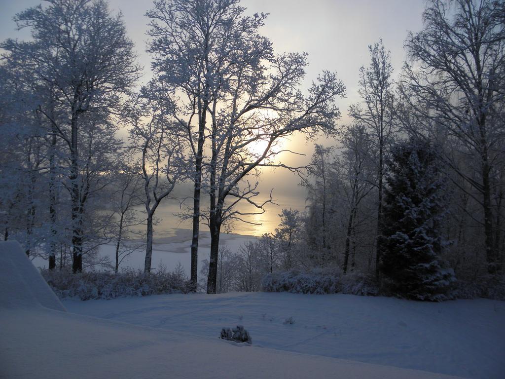 Bed and Breakfast Neitsytniemen Kartano à Imatra Extérieur photo