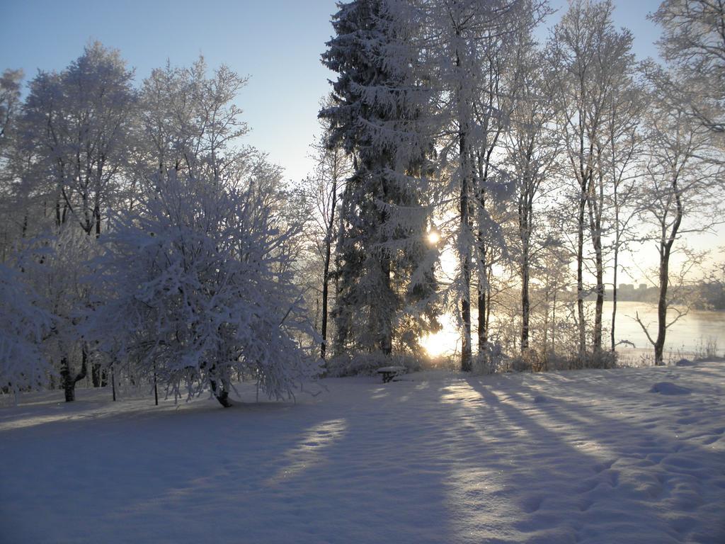Bed and Breakfast Neitsytniemen Kartano à Imatra Extérieur photo